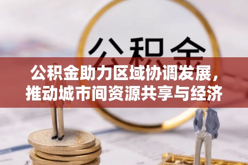 大林公积金助力区域协调发展，推动城市间资源共享与经济均衡发展