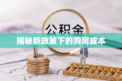 大林揭秘新政策下的购房成本