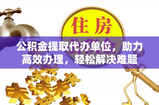 大林公积金提取代办单位，助力高效办理，轻松解决难题