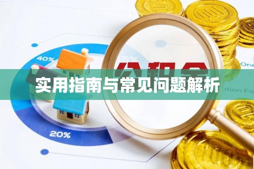 大林实用指南与常见问题解析