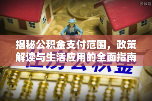 大林揭秘公积金支付范围，政策解读与生活应用的全面指南