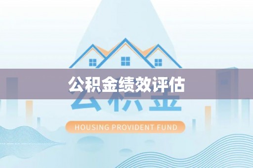 大林公积金绩效评估