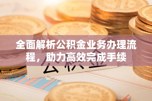 大林全面解析公积金业务办理流程，助力高效完成手续