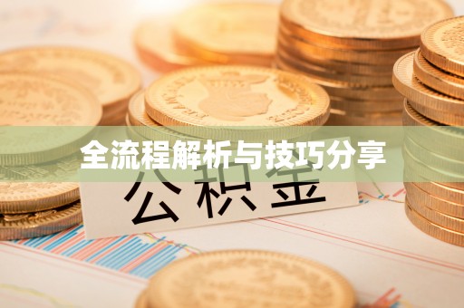 大林全流程解析与技巧分享